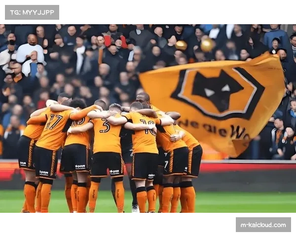 狼队虽败犹荣 进攻端展现英冠竞争力