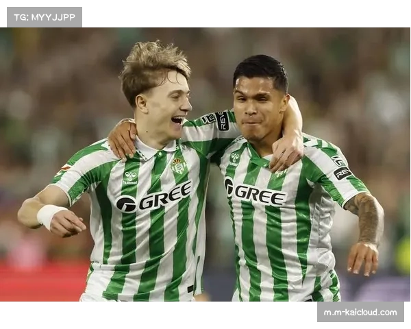 升班马埃尔切转会市场支持不足，保级前景黯淡